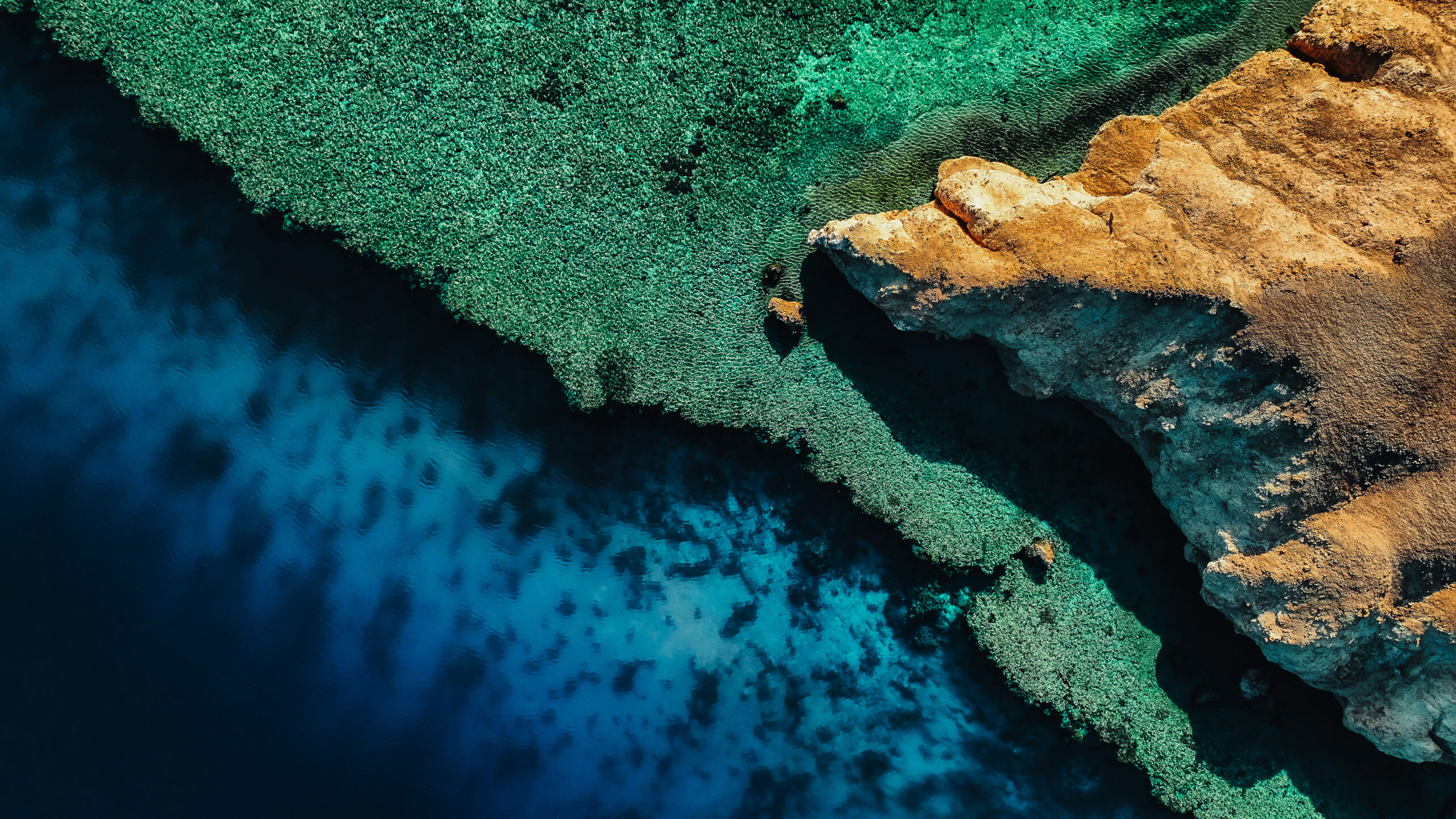 coastline-coral-5120x2880-15584